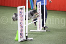 Novice Standard